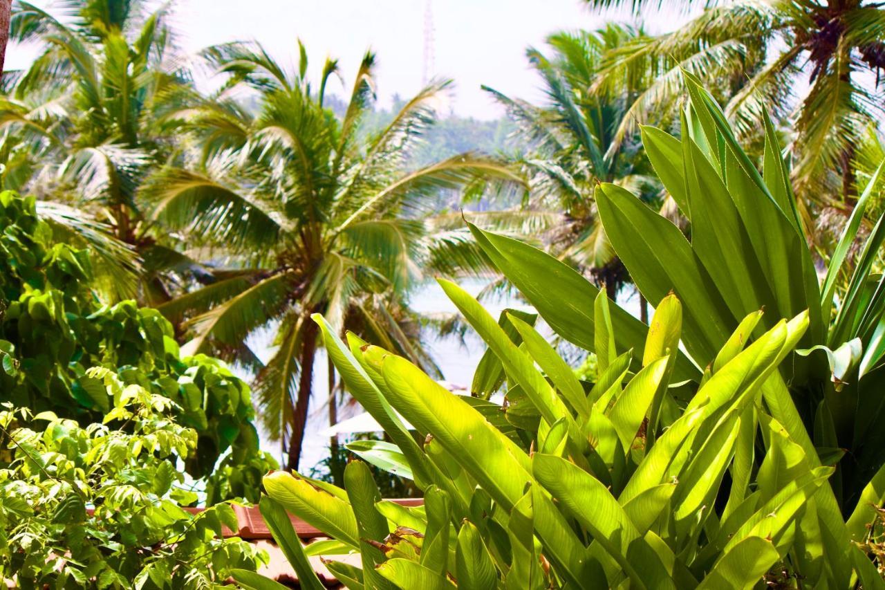 Emma'S Sea View Apartment Dikwella Bagian luar foto